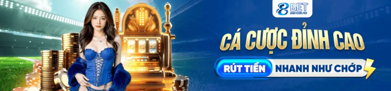 Hình ảnh minh họa chính sách cookie của cado888, bảo vệ dữ liệu người dùng và trải nghiệm cá cược an toàn